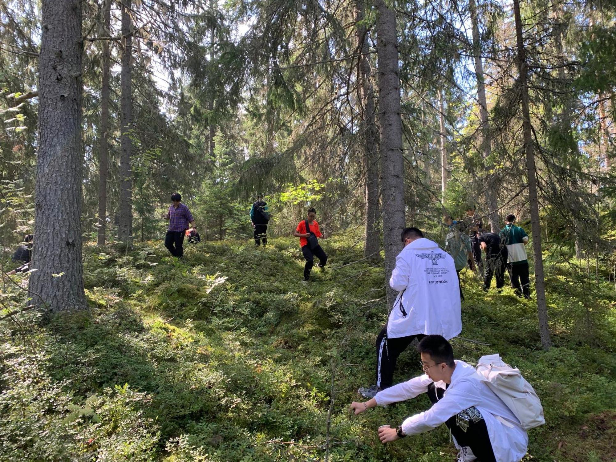 Lomahyppaeys Villa Naantali Buitenkant foto
